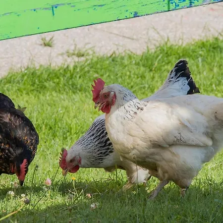 Apartamento Hochkoenig Mühlbach am Hochkönig
