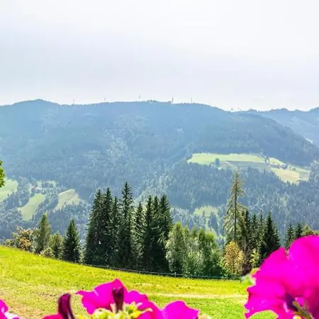 Hochkoenig *