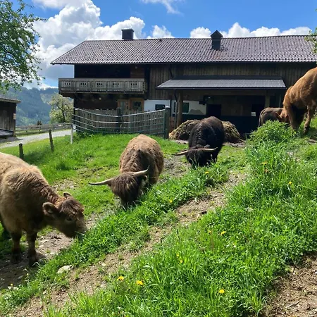 Appartement Hochkoenig