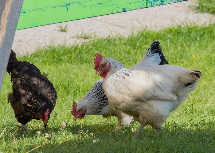 Appartement Hochkoenig Mühlbach am Hochkönig