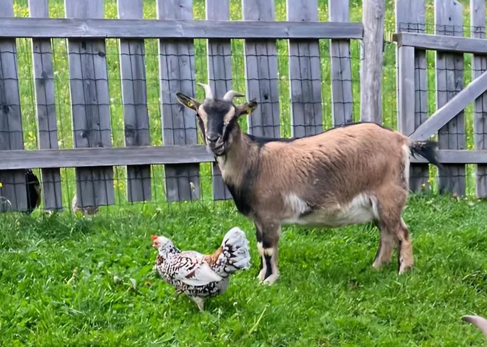 Διαμέρισμα Hochkoenig *