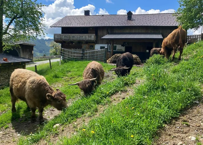 Διαμέρισμα Hochkoenig