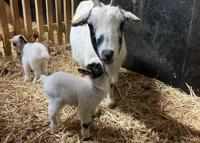 Διαμέρισμα Hochkoenig Mühlbach am Hochkönig